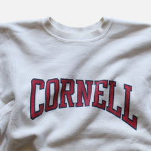 Load image into Gallery viewer, 1990's "CHAMPION" REVERSE WEAVE SWEAT SHIRT (SZ LARGE / RARE PATTERN)