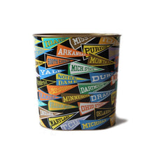 Load image into Gallery viewer, 1960's COLLEGE PENNANT TRASH