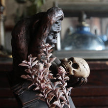 Load image into Gallery viewer, 1960's "DARWIN" HOLDING MONKEY